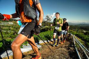 BIB: 
                            <button type="button" onclick="openModal(19123148)" class="btn btn-primary btn-sm float-right btn-popup" data-toggle="modal" data-target=".modal-high-quality">
                        <i class="fas fa-shopping-cart"></i> Add to Cart
                    </button>
                                            <button type="button" onclick="isThisMe(19123148, true)" class="btn btn-success btn-sm float-right btn-popup btn-isme hidden" data-toggle="tooltip" data-placement="bottom" title="นี่คือรูปของคุณใช่ไหม คลิกที่นี่เพื่อเอาเข้าอัลบั้ม">
                        <i class="fas fa-plus"></i> Add to album
                    </button>
                    <button type="button" onclick="isThisMe(19123148, false)" class="btn btn-warning btn-sm float-right btn-popup btn-isnotme hidden">
                        <i class="fas fa-ban"></i> Remove from album
                    </button>